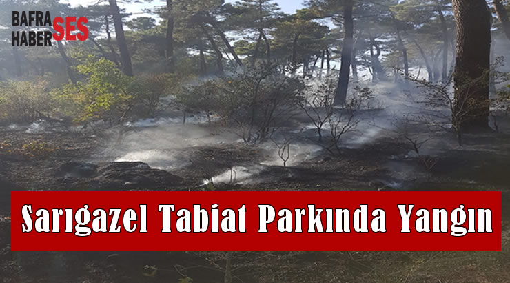 Sarıgazel Tabiat Parkında Yangın